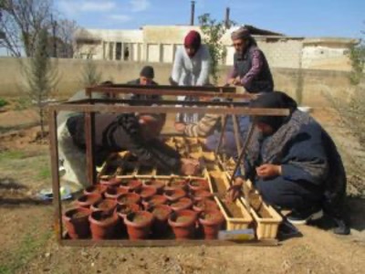 التجهيز لفعاليات عيد المرأة في تل كوجر
